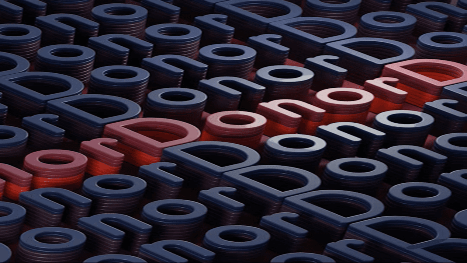 Fundraising and Donor Management
